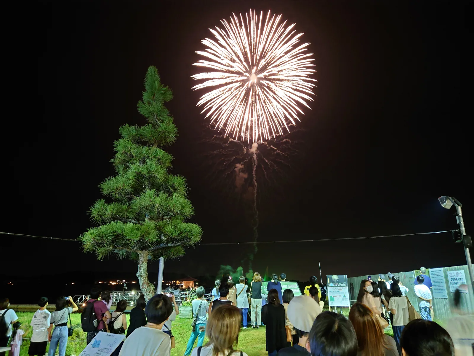 湖畔の松と観覧客の頭上に咲く花火